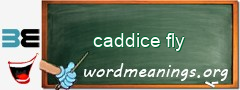 WordMeaning blackboard for caddice fly